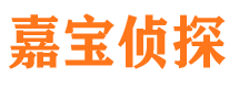 齐河市私家侦探